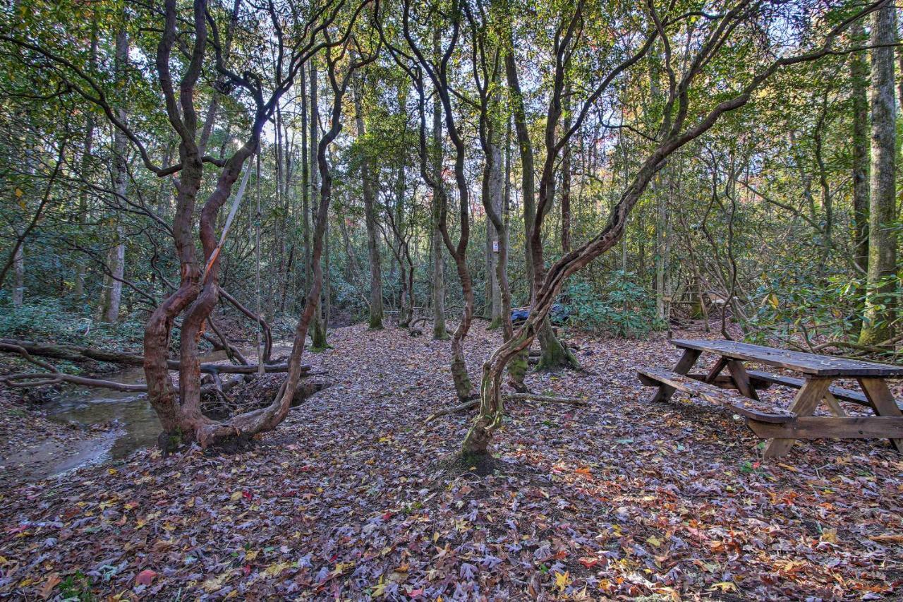 הוילה Sautee Nacoochee 5-Acre North Georgia Mountain Retreat With Creek! מראה חיצוני תמונה